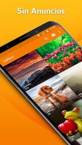 Simple Gallery Pro Apk 1