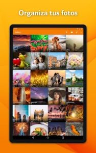Simple Gallery Pro Apk 6